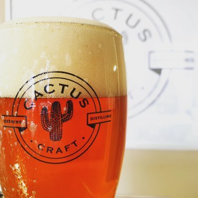 craft_cactus's profile picture. We love craftmanship!