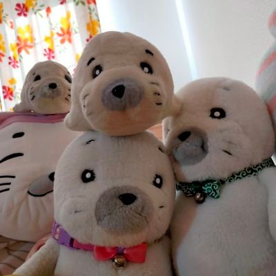まずらさんのプロフィール画像