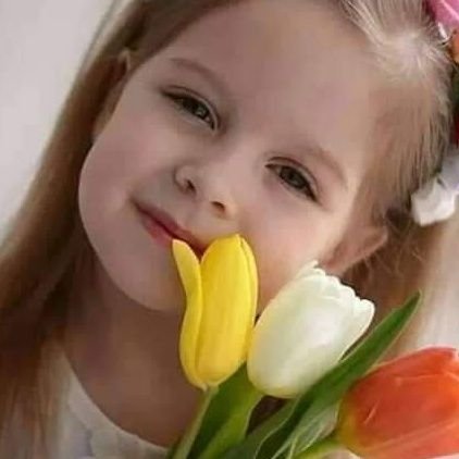 ahmdmhr48004196's profile picture. 