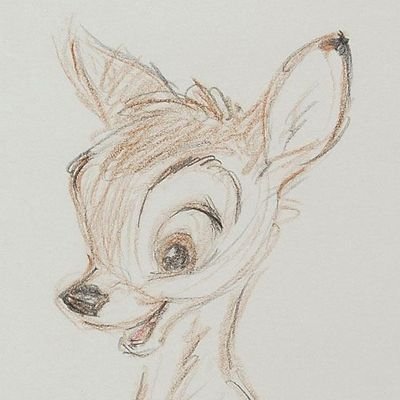 farerb's profile picture. 💙🤍💙