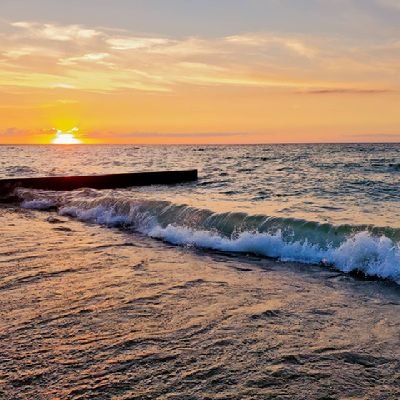 Clecleb's profile picture. Foster dogs can bring joy to your life, or they can rip your shoes apart.