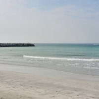 Bhuvan Sagar (@bhuvan_sagar) 's Twitter Profile