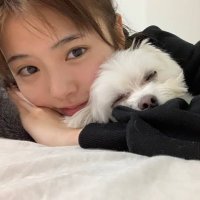 ゆきれもん@24卒 (@choco_mint_24_) 's Twitter Profile