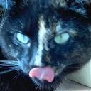 Gary Brown - @TrixSte - Twitter