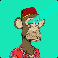 🐉WTA.eth 🕹️ $RCADE (@wtadegen) 's Twitter Profile