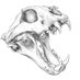 Omkar Patil (@bombaybushfrog) Twitter profile photo Omkar Patil (@bombaybushfrog) Twitter profile photo