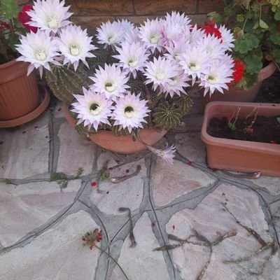 davidzur13's profile picture. תושב ישראל