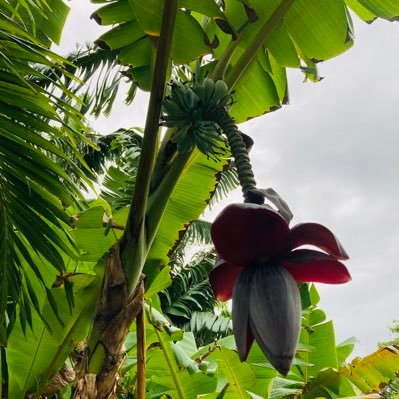 f19298436's profile picture. 最高の夫と結婚→家族が増えたよ👶🏻ジュエリー沼入門💎 30代仕事好き(育休明け)👩🏻‍💻留学駐在/100か国旅海外厨🌏料理好きの食いしんぼ🍏🍎毒舌に日々をつぶやきます。(惚気)ようしゃがないよ！Winnie the Pooh🧸