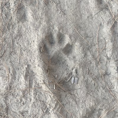 Blacknyellow143's profile picture. शून्य /صفر/zero