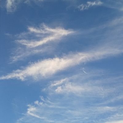 koan_yu_333's profile picture. 仕事以外ほぼ引きこもり主婦です。日々思った事をぼそぼそと…何か共通な物事あれば繋がりたいです。無言フォロー失礼します。
※副業系の方々のフォローバックは基本いたしません。ご了承ください。