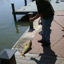 john parrish - @JohnParrish75 - Twitter