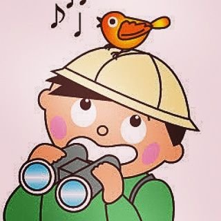 野鳥撮影にはまり動画編集ソフトで5分〜20分位の動画を作成して楽しんでおリます❗  最近は軽くて焦点距離が 稼げるマイクロフォーサーズ機を常用📷
 ヘッダーのサンコウチョウは一番のお気に入り🎶
過去の在庫写真及び動画の投稿が多め💦インスタ始めましたが内容は X と ほぼ ダブっております💦