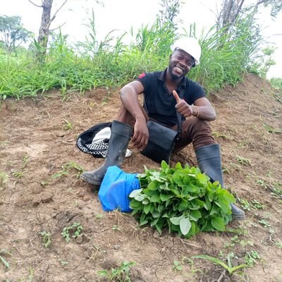 TambweGunny's profile picture. # Entrepreneur
# Éleveur de porcs
#Agriculteur