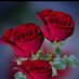 ABDUR RAZZAK (@abdurra30211178) Twitter profile photo ABDUR RAZZAK (@abdurra30211178) Twitter profile photo