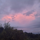 Elsa Alvarez Fernandez - @ElsaAlvarezFer1 - Twitter