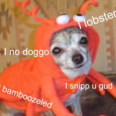 LobsterLovr's profile picture. Pogging