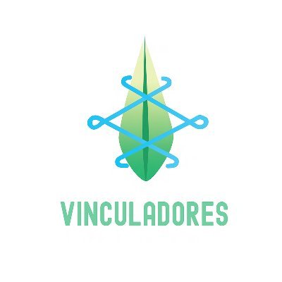 Vinculadores, creando redes de participación