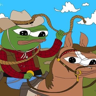 xXBasedonwhatXx's profile picture. he/him // Ace but find sex hilarious // waiting for my third booster