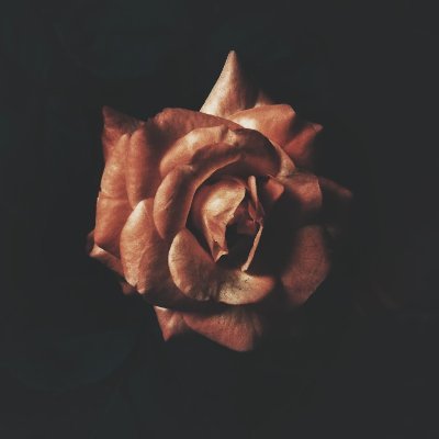 katie_wattpad's profile picture. 