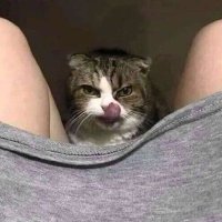 真的太喜欢👅逼逼了 (@zhitbuz) 's Twitter Profile Photo
