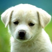 Big_herooooo (@bherooooo) 's Twitter Profile Photo Big_herooooo (@bherooooo) 's Twitter Profile Photo