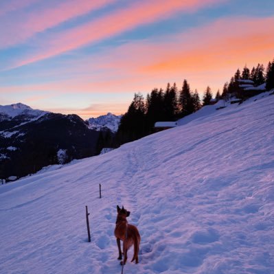 Jonas_1936's profile picture. Wanna be trail runner 🏃‍♂️ living in  🇨🇭