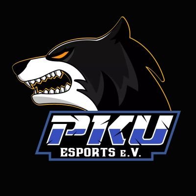 PKUeSportseV Profile Picture