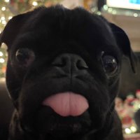 CREEPZ PACINO (@nftmordor) 's Twitter Profile
