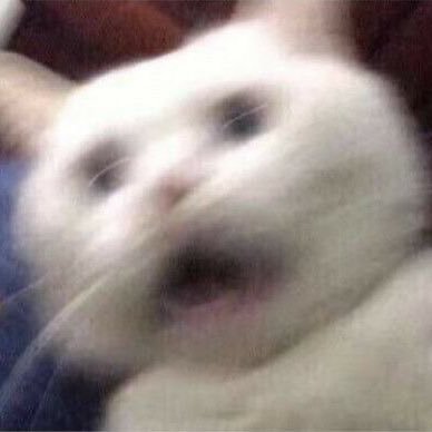 yyuunngg__o's profile picture. 성인구독계