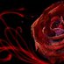 Pasif06 (@pasif0667508741) Twitter profile photo Pasif06 (@pasif0667508741) Twitter profile photo