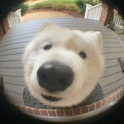 frvnyc's profile picture. insert something here to make yourself look good to randoms