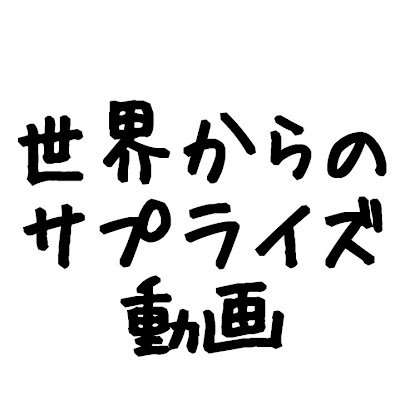 年中無休で毎日納品 🚀ご依頼はWEBサイトから常時受付中💳銀行振り込みも、カードも使える！ 🧸visit our website！↓