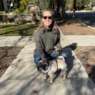 kayringe's profile picture. HS English teacher; Secretary, California Association of IB World Schools (CAWS); opposes corporate reform & privatization of public schools. Tweets are my own.