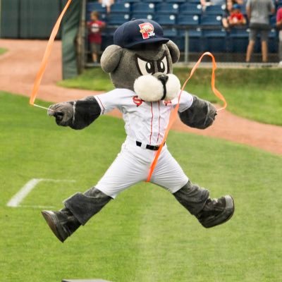 Official Mascot & Director of Fun for the @PortlandSeaDogs  2023 Mascot Hall of Fame Inductee