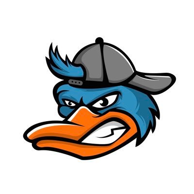 DoctorBlueDuck Profile Picture