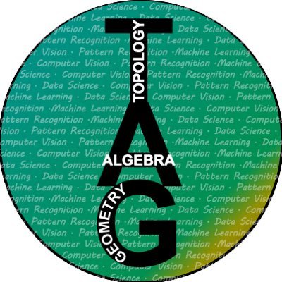 Mathematical data scientists leveraging Topology, Algebra, and Geometry (TAG) in Data Science