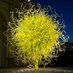 Chihuly Studio (@ChihulyStudio) Twitter profile photo