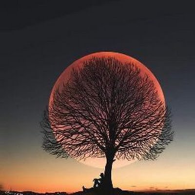 ReneabrahamDea1's profile picture. Leectura