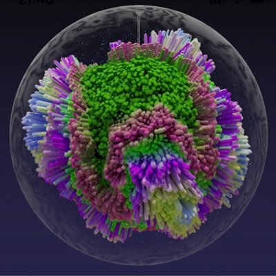 IlianaBjorling's profile picture. 