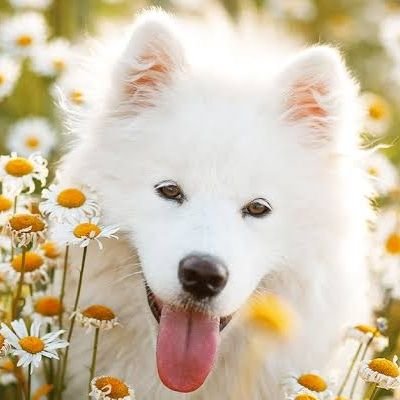 EthanSM17429112's profile picture. Simple est calme