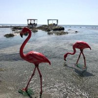 Musa Saglam (@tarik_maroves) Twitter profile photo