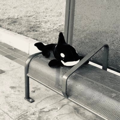 ルさんのプロフィール画像