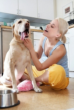The following tips to organize pet supplies will help... ... questions (When was the last time I put my pet in this piece..www.mypetsupplies.freenewtips.info