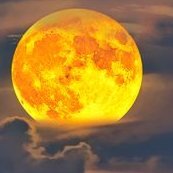 __Lunatics__'s profile picture. Lunatics provides daily Statics on LUNA and UST tokens
Copy my strategy to get LUNA Exposure on a cool App:
https://t.co/yCA3ZgUJZz…