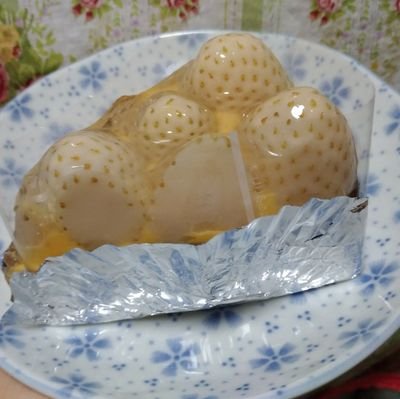 聖母さんのプロフィール画像