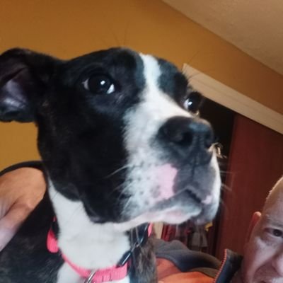 KenardLevi's profile picture. Stage IV cancer and heart failure keep reminding to fight. My dad taught me to believe in myself. My mom and dad taught me to love. May God bless them in heaven