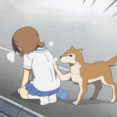 ringooさんのプロフィール画像