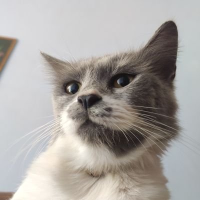 rez_whisper's profile picture. ❤️ Jesus