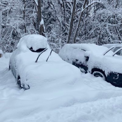 monjap72's profile picture. 日本は私の故郷