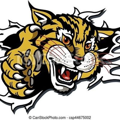 bobcatman70's profile picture. Love the markets like Vegas.🃏 The markets have a twist of DD & Vegas a twist of lime.🍹 Both Risky. My tweets are not advice but purely informational. $HMBL💎